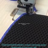 Croitor cu experienta
